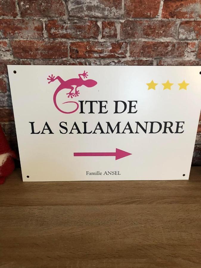 Gite De La Salamandre - 4 A 8 Personnes Lapoutroie Exterior photo